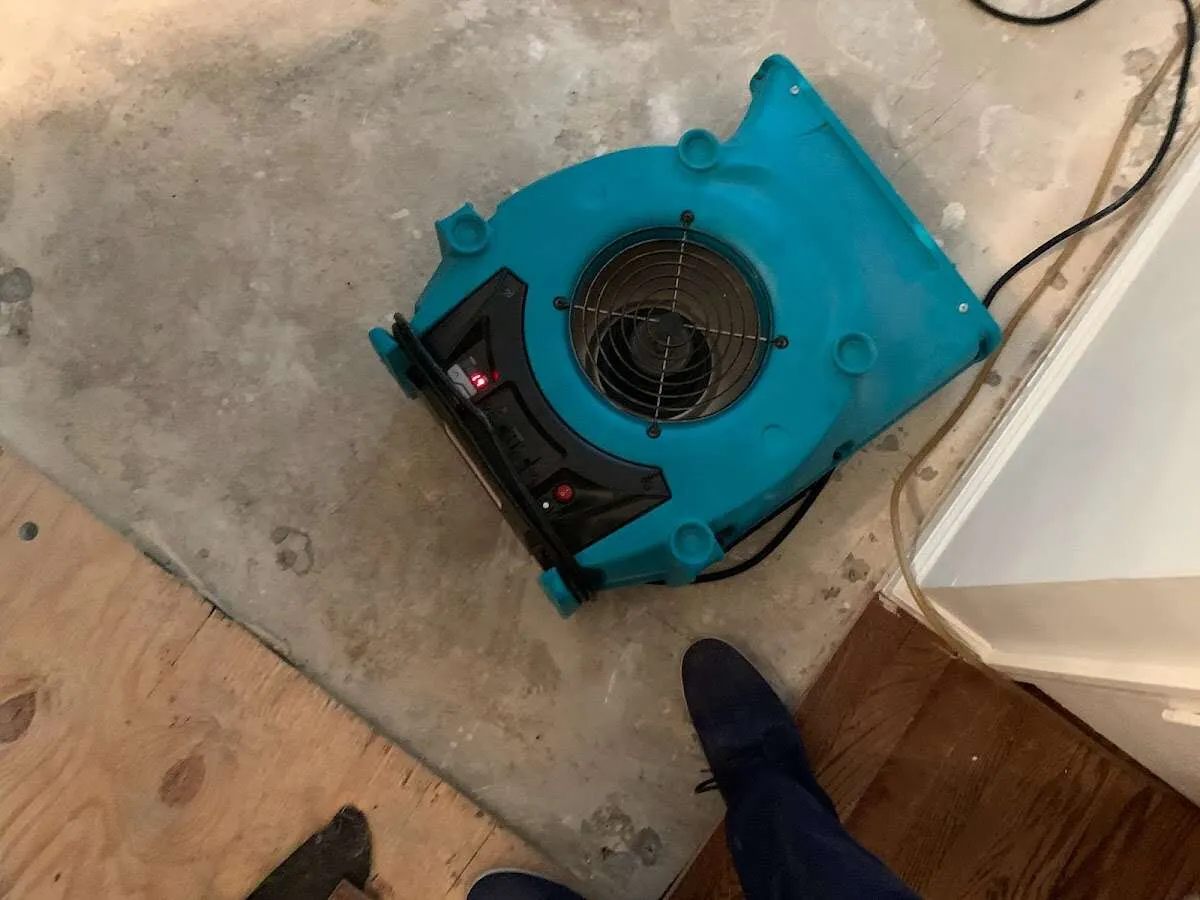 Air mover drying subfloor during Commercial Water Damage Restoration in Jamul